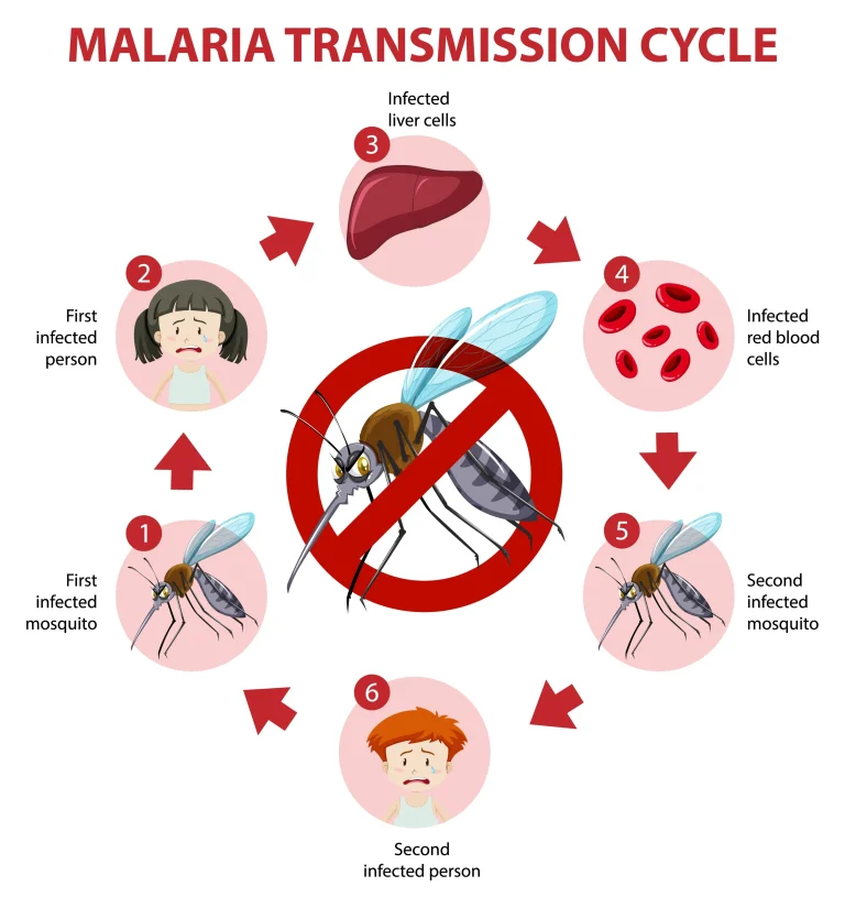 Malaria