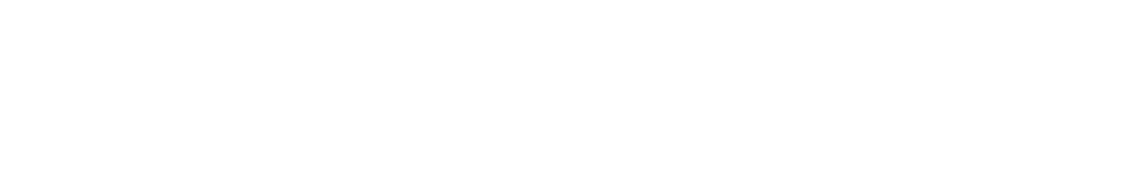 Logo Footer